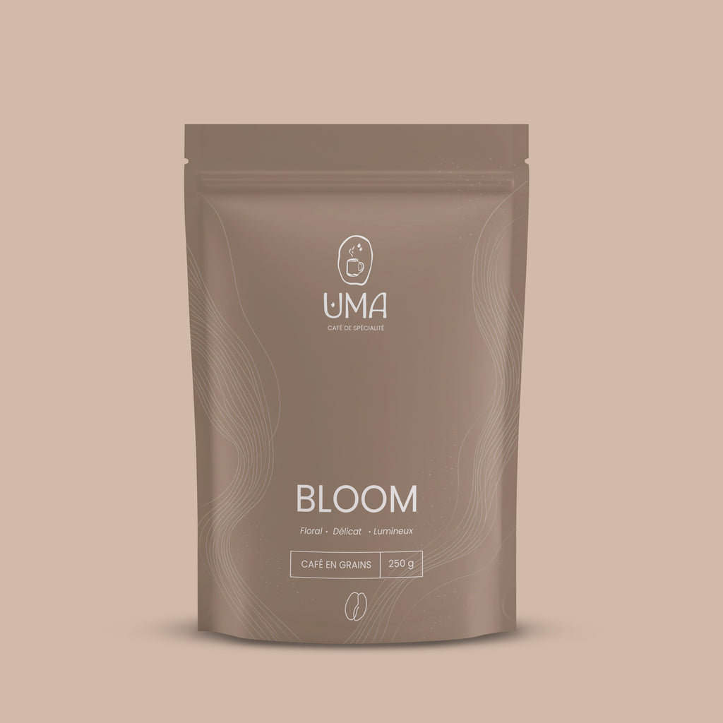 BLOOM - Floral • Délicat • Lumineux