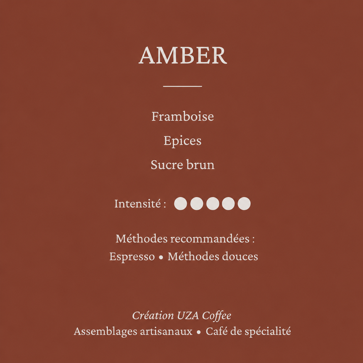 AMBER - Le caractère